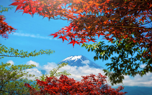 1399337 (a): :1920x1200